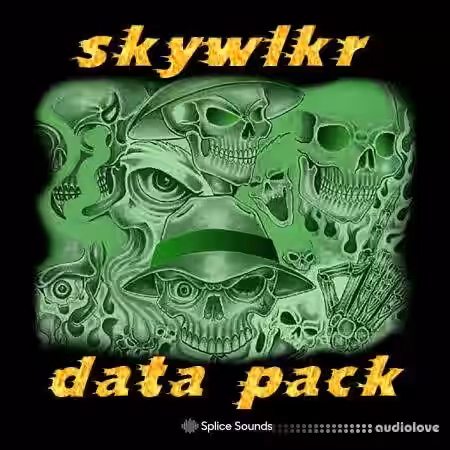 Splice Sounds skywlkr data pack [WAV] - Sample Pack Artwork