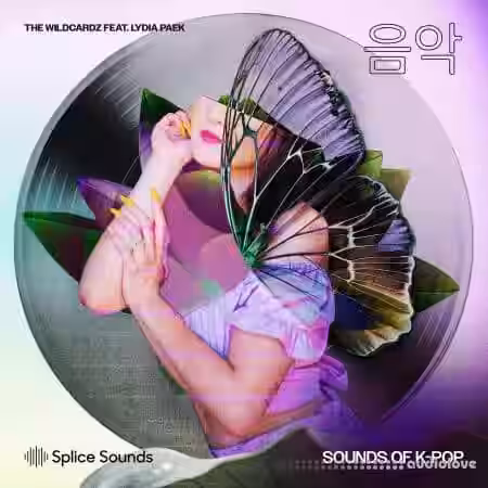 Splice Sounds Wildcardz Feat. Lydia Paek Sounds of K-Pop [WAV] - Sample Pack Artwork