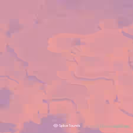 Splice Sounds Yu Su Sample Pack [WAV] - Sample Pack Artwork