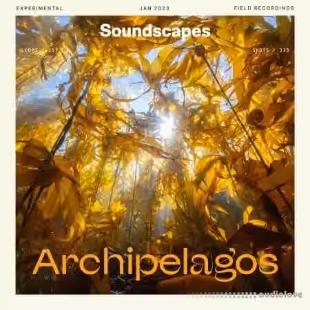 Splice Soundscapes Archipelagos [WAV] - Sample Pack Artwork