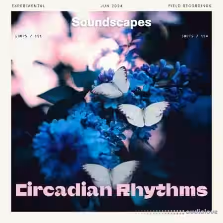 Splice Soundscapes Circadian Rhythms [WAV] - Sample Pack Artwork