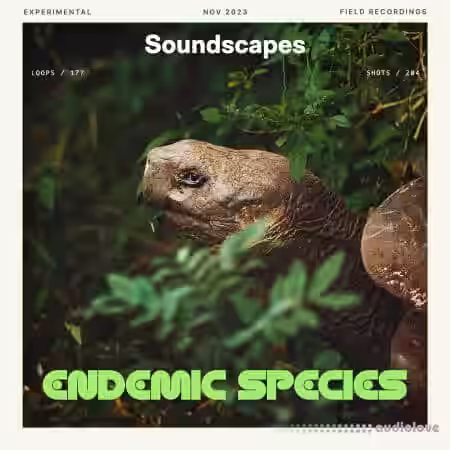 Splice Soundscapes Endemic Species [WAV] - Sample Pack Artwork