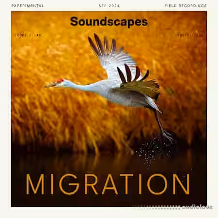 Splice Soundscapes Migration [WAV] - Sample Pack Artwork