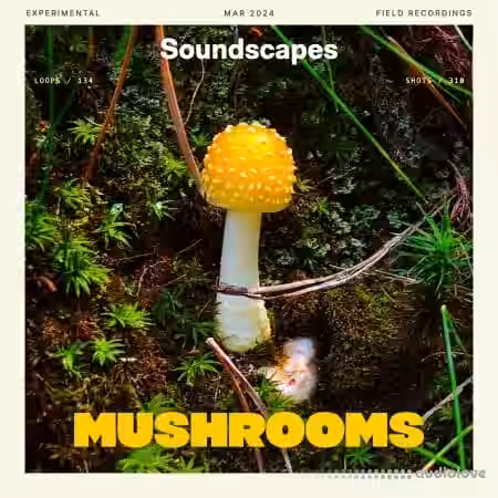 Splice Soundscapes Mushrooms [WAV] - Sample Pack Artwork