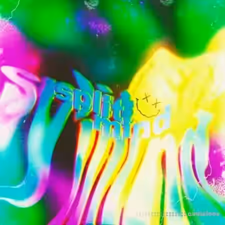Splitmind Vol.1 Loop Kit [WAV] - Sample Pack Artwork