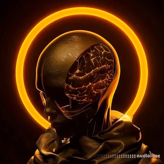 SPM Dunescape Mult-Kit [WAV, Synth Presets]