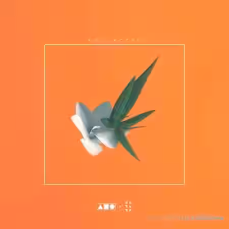 Squadpack x Samplified Soulected [WAV, MiDi] - Sample Pack Artwork