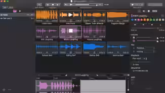 Static Z Software SparkFX v1.0.0b7 [MacOSX]