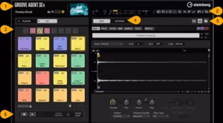 Steinberg Groove Agent SE 6 Content