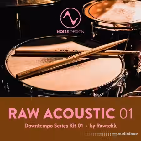 Steinberg Noise Design Raw Acoustic Downtempo 1 [Synth Presets] - Sample Pack Artwork