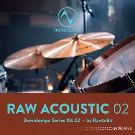 Steinberg Noise Design Raw Acoustic Downtempo 2 [Synth Presets] - Sample Pack Artwork