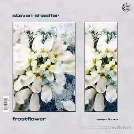 Steven Shaeffer Frostflower Sample Library [WAV] - Sample Pack Artwork