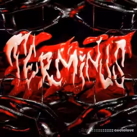 Stinger Terminus Custom 808 Kit [WAV] - Sample Pack Artwork