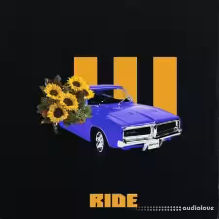 Strangesol Music Strange Ride [WAV] - Sample Pack Artwork