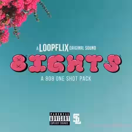 Stve Lawrence 8ights (One-shot pack) [WAV] - Sample Pack Artwork