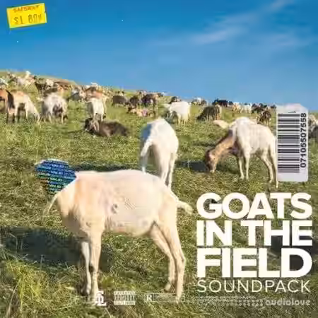 Stve Lawrence Goats In The Field [WAV] - Sample Pack Artwork