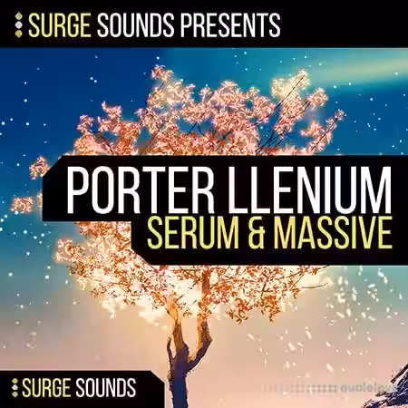 Surge Sounds Porter llenium [WAV, MiDi, Synth Presets] - Sample Pack Artwork