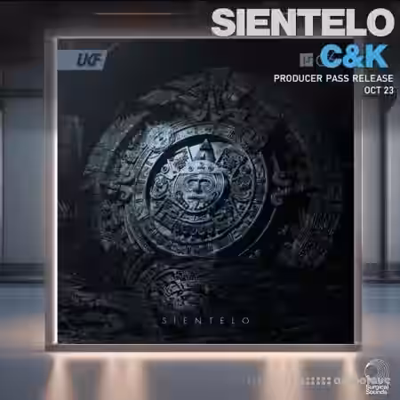 Surgical Sounds Sientelo Recreation Kit [WAV, MiDi, Synth Presets] - Sample Pack Artwork