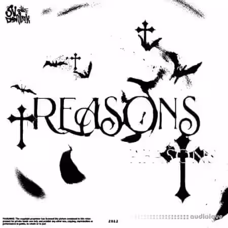 svdominik REASONS Sample Pack [WAV] - Sample Pack Artwork
