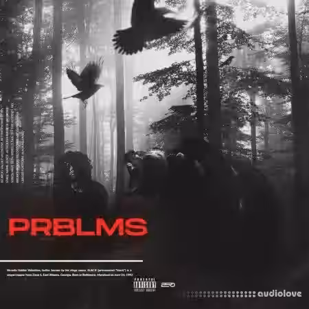 Sxbersounds PRBLMS Multi Kit [WAV, MiDi] - Sample Pack Artwork