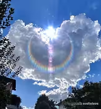 Сxdy 2025 Stash Kit [WAV, Synth Presets]