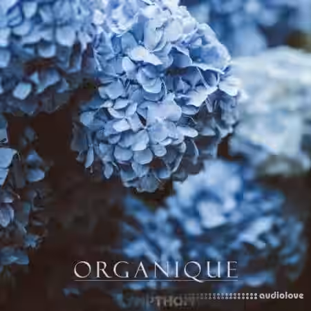 Sympthom ORGANIQUE [WAV, MiDi, Synth Presets] - Sample Pack Artwork