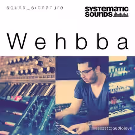 Systematic Sounds Wehbba Sound Signature [MULTiFORMAT] - Sample Pack Artwork