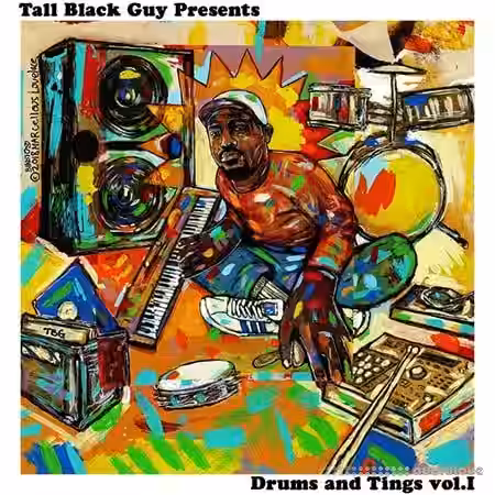Tall Black Guy Presents Drums and Tings Vol.I [WAV] - Sample Pack Artwork