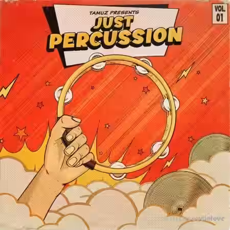 Tamuz Just Percussion Vol.1 [WAV] - Sample Pack Artwork