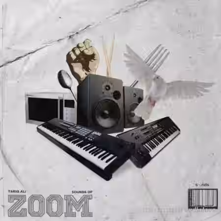 Tariq Ali Sounds Of Zoom [WAV] - Sample Pack Artwork