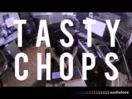Tasty Chops Pre-chopped Sound Samples BUNDLE [WAV] - Sample Pack Artwork