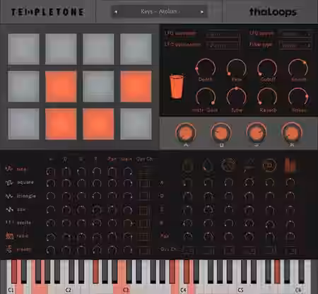 ThaLoops Templetone v1.0 RETAiL [WiN, MacOSX] - Sample Pack Artwork
