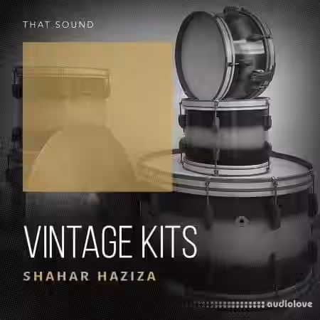 That Sound Vintage Kits [WAV] - Sample Pack Artwork