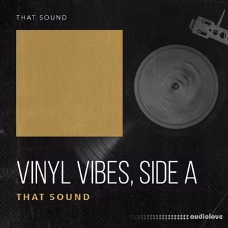 That Sound Vinyl Vibes - Side A [WAV, Synth Presets]