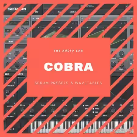 The Audio Bar Cobra [WAV, Synth Presets] - Sample Pack Artwork