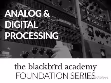 The Blackbird Academy Analog and Digital Processing [TUTORiAL] - Sample Pack Artwork