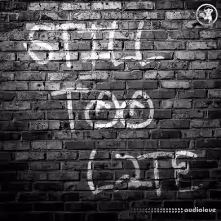 The Hit Sound Still Too Late [WAV, MiDi] - Sample Pack Artwork