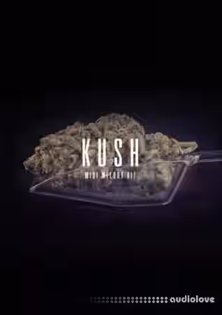 The Kit Plug Kush [MiDi] - Sample Pack Artwork