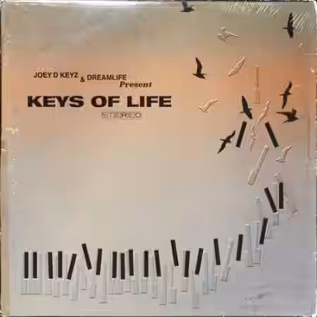 The Sample Lab Keys of Life (Compositions) [WAV] - Sample Pack Artwork