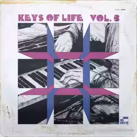 The Sample Lab Keys Of Life Volume 3 (Compositions) [WAV] - Sample Pack Artwork