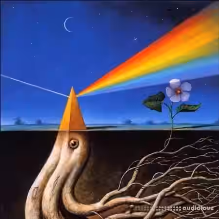 The Stash In The Igloo Jvst Drvms 5 [WAV, DAW Templates] - Sample Pack Artwork