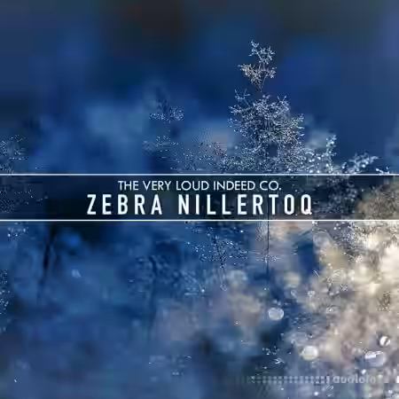 The Very Loud Indeed Co. Zebra Nillertoq [Synth Presets] - Sample Pack Artwork