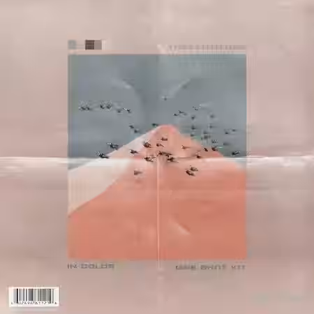 The44thfloor In Color (One Shot Kit) [WAV] - Sample Pack Artwork