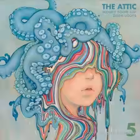 TheAttic Wonky BoomBap Drum Loops (Lofi Ed.) [WAV] - Sample Pack Artwork