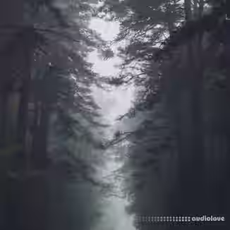 Tontario Second Nature [WAV]