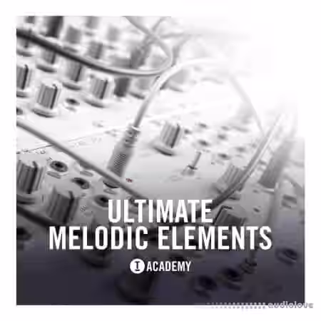 Toolroom Academy Ultimate Melodic Elements [WAV] - Sample Pack Artwork