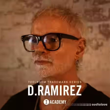 Toolroom D. Ramirez Trademark Series [WAV] - Sample Pack Artwork