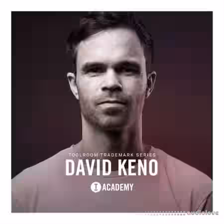 Toolroom Trademark Series David Keno [WAV] - Sample Pack Artwork