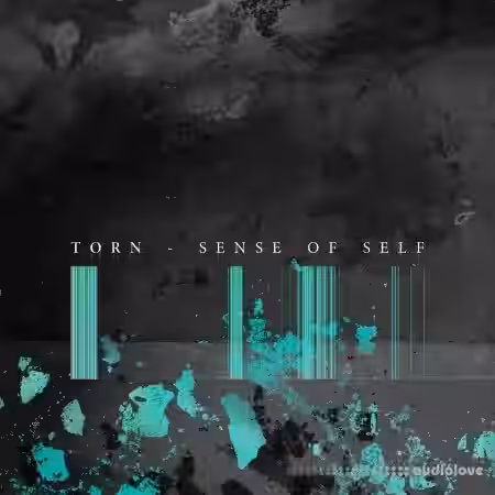 Torn Sense of Self (Sample Pack) [WAV] - Sample Pack Artwork