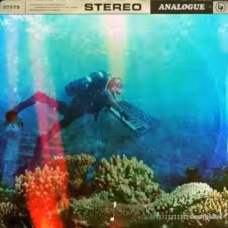 Touch Loops Analogue Odyssey [WAV, MiDi] - Sample Pack Artwork